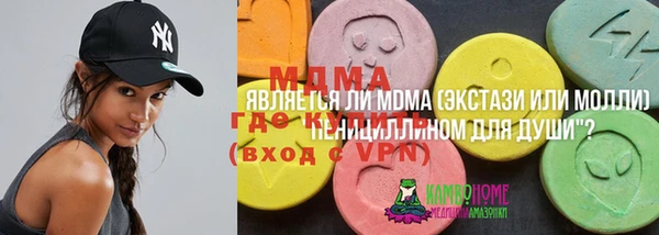 мдпв Михайлов