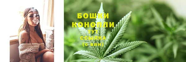 мдпв Михайлов