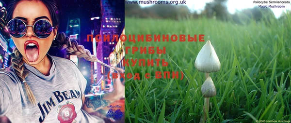 мдпв Михайлов