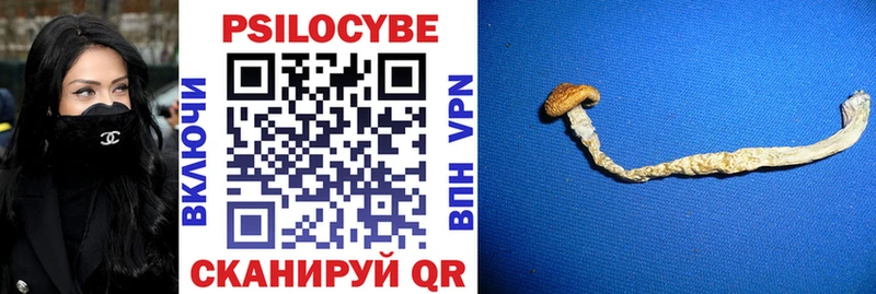 Псилоцибиновые грибы Psilocybine cubensis  кракен ссылки  Нефтеюганск  наркота 